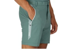 Regatta Shorts Mountain Shorts II Wanderhose 