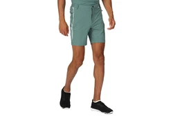 Regatta Shorts Mountain Shorts II Wanderhose 