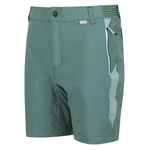 Regatta Shorts Mountain Shorts II Wanderhose 
