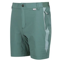 Regatta Shorts Mountain Shorts II Wanderhose 