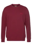 Man's World Sweatshirt Basic-Stil Rundhalsausschnitt Dunkelrot/Bordeaux/Rosa/Rot