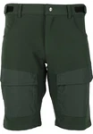 WHISTLER Shorts ERIC Grün/Dunkelgrün