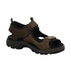 Ecco Sandale Offroad Andes II (82204402114) Khaki/Braun/Dunkelbraun/Beige/Dunkelgrün
