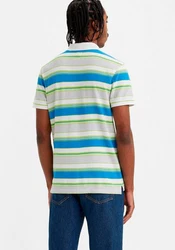 Levi's Poloshirt HM POLO Mischfarben/Blau/Türkis/Grün