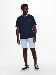 ONLY & SONS Jeansshorts ONSPLY 5189 Blau/Licht Blau
