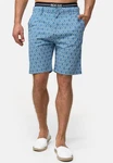 Indicode Chinoshorts Apostolis Blau