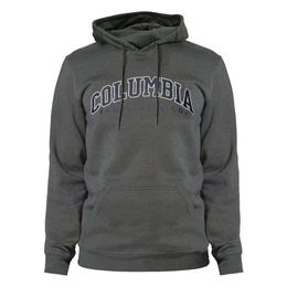 Hoodie CSC Basic Logo II Hoodie mit groem Markenschriftzug