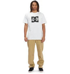 DC Shoes Chinos Worker Relaxed Beige/Khaki