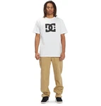 DC Shoes Chinos Worker Relaxed Beige/Khaki