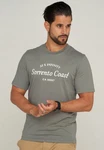 Jack & Jones T-Shirt JJHILL TEE SS CREW NECK Dunkelgrün/Grau/Grün/Khaki