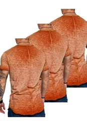 Amaci&Sons T-Shirt SAN FRANCISCO Braun/Orange/Rot/Beige