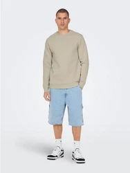 Only & Sons Sweatshirt 'Ceres' Beige (5428)
