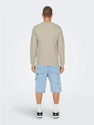 Only & Sons Sweatshirt 'Ceres' Beige (5428)