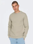 Only & Sons Sweatshirt 'Ceres' Beige (5428)