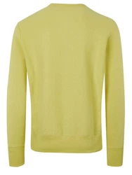 Champion Sweater Pullover Gelb/Grün