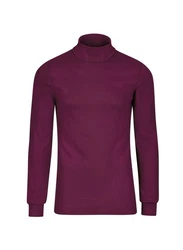 Trigema Rollkragenshirt Langarm Ski- und Sport-Rollkragenpullover 