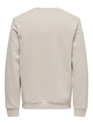 ONLY & SONS Sweatshirt Ceres 