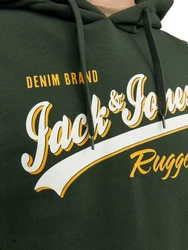 Jack & Jones Hoodie JJELOGO Dunkelgrün/Grün