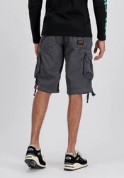 ALPHA INDUSTRIES Shorts 'Jet' Dunkelgrau/Grau/Khaki/Hellgrau