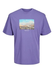 Jack & Jones T-Shirt JORVESTERBRO PHOTO Fliederfarben
