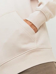 JACK & JONES Sweatshirt Hoodie JORVesterbro Beige/Khaki/Braun