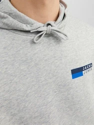 Jack & Jones Sweatshirt JJECORP LOGO SWEAT HOOD PLAY NOOS Grau/Hellgrau/Silber