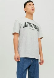 JACK & JONES T-Shirt JJEJOSH TEE SS CREW NECK NOOS Grau/Khaki/Hellblau/Schwarz/Braun