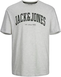 Rundhalsshirt JJEJOSH TEE SS CREW NECK NOOS