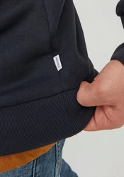 Jack & Jones Kapuzensweatshirt JJELOGO SWEAT HOOD (23/24) 