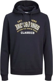 Kapuzensweatshirt JJELOGO SWEAT HOOD 2 COL 23/24 NOOS