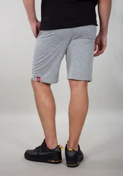 Alpha Industries Shorts Alpha Jersey Short 