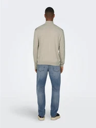 ONLY & SONS Strickpullover Polo Langarm Shirt Basic Pullover ONSWYLER (5619) Beige (5619)