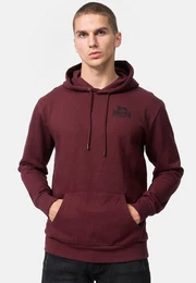 Kapuzensweatshirt TALMINE