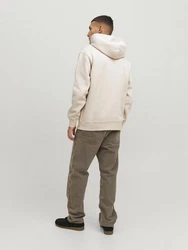Jack & Jones Sweatshirt JORVESTERBRO SWEAT HOOD NOOS Beige/Khaki/Braun