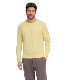 Strickpullover (1-tlg) mit Bio-Baumwolle