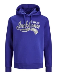 Jack & Jones Hoodie JJELOGO 
