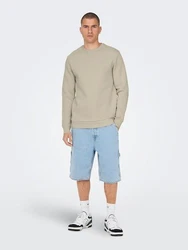 ONLY & SONS Sweatshirt ONSCERES CREW NECK NOOS 