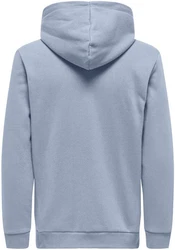 ONLY & SONS Sweatshirt ONSCERES HOODIE SWEAT 