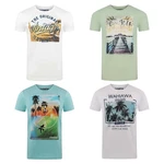 riverso T-Shirt Herren RIVLukas Regular Fit Mischfarben/Weiß/Beige/Grün/Blau