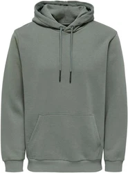 ONLY & SONS Sweatshirt ONSCERES HOODIE SWEAT 