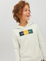 Jack & Jones Hoodie Kapuzen Hoodie mit Logo Print JORCODYY (5695) Hellgrau (5695)