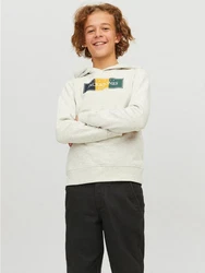 Jack & Jones Hoodie Kapuzen Hoodie mit Logo Print JORCODYY (5695) Hellgrau (5695)