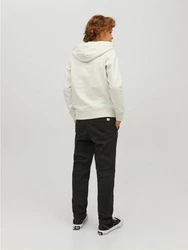 Jack & Jones Hoodie Kapuzen Hoodie mit Logo Print JORCODYY (5695) Hellgrau (5695)