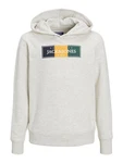 Jack & Jones Hoodie Kapuzen Hoodie mit Logo Print JORCODYY (5695) Hellgrau (5695)