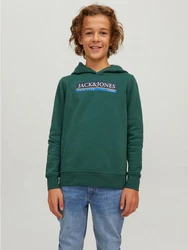 Jack & Jones Hoodie Kapuzen Hoodie mit Logo Print JORCODYY (5695) Grün (5695)