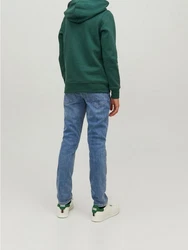 Jack & Jones Hoodie Kapuzen Hoodie mit Logo Print JORCODYY (5695) Grün (5695)