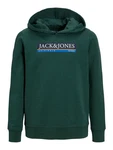 Jack & Jones Hoodie Kapuzen Hoodie mit Logo Print JORCODYY (5695) Grün (5695)
