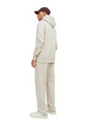 Longsweatshirt JORVESTERBRO SWEAT ZIP HOOD