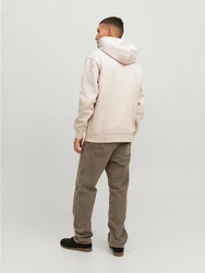 JACK & JONES Sweatshirt JORVesterbro beige/schwarz