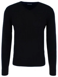 Sweatshirt Basic V-Neck Sweater